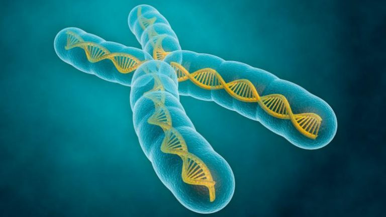 تعريف علم الوراثة