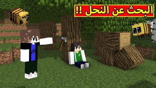 معلومات عن لعبة ماين كرافت