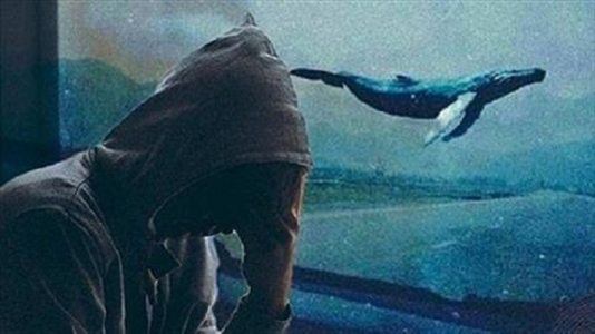معلومات عن لعبه مريم والحوت الازرق