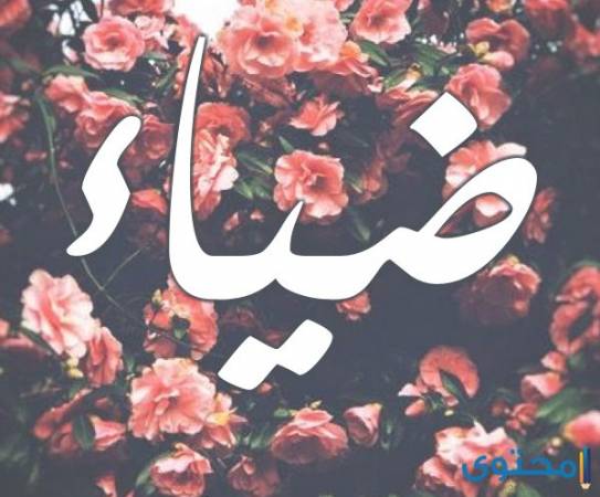 Sincerity Insult Vandalize قلادة اسم ضياء Indirect Ritual Corruption