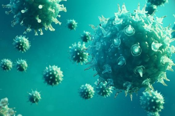 بحث عن الفيروسات التي تصيب الإنسان