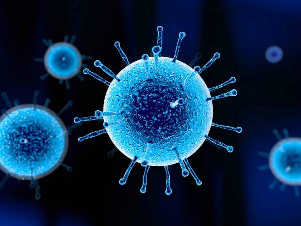 بحث عن الفيروسات التي تصيب الإنسان