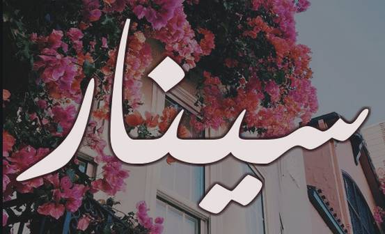 معنى اسم سينار وصفاته