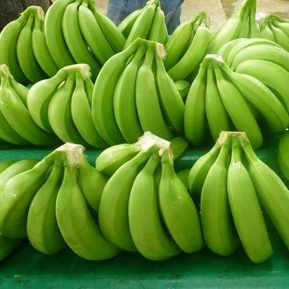 أفضل أنواع الموز