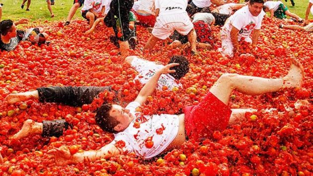 مهرجان الطماطم