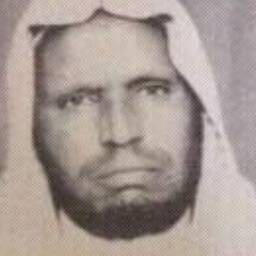 محمد أمان الجامي