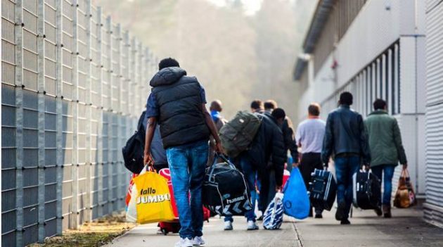 العمل في هولندا للاجئين