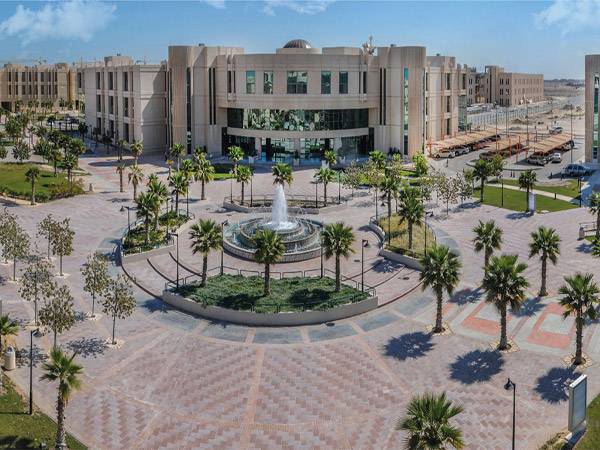 تخصصات جامعة الإمام عبدالرحمن بن فيصل​​​