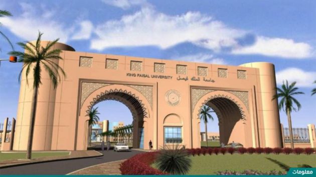 معلومات عن جامعة الملك فيصل​