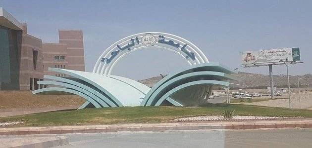 معلومات عن جامعة الباحة​​