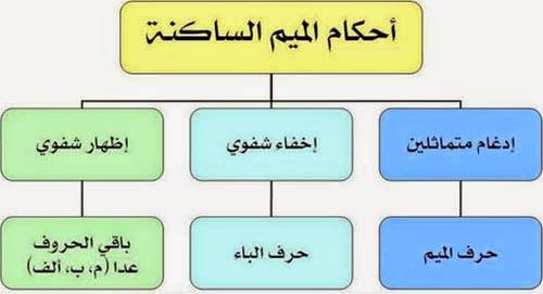 أحكام-الميم-الساكنة