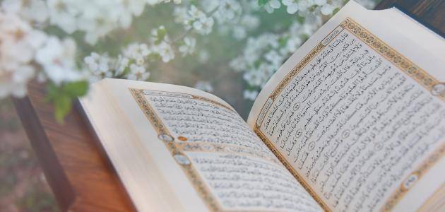 أحاديث عن قراءة القرآن