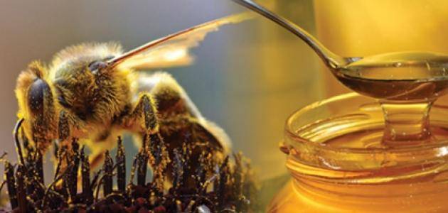 معجزات سورة النحل