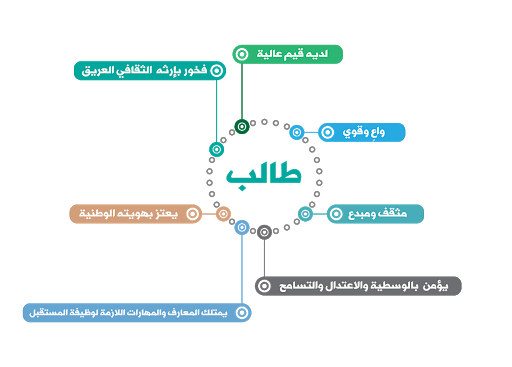 رؤية 2030 في التعليم الجامعي