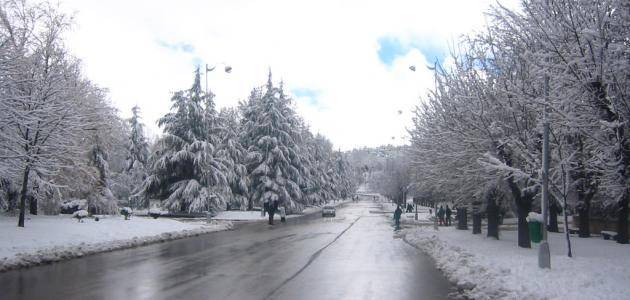 شعر عربي عن الشتاء