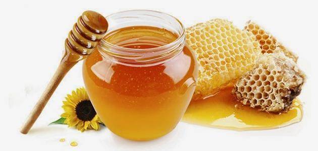 معنى حلم عسل النحل في المنام بالتفصيل