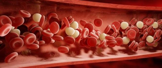 كم لتر من الدم في جسم الانسان