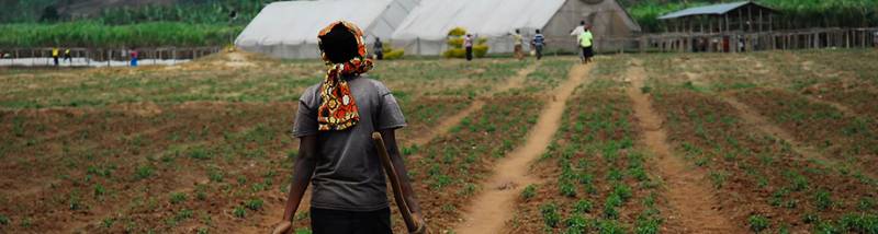 أسعار الأراضي الزراعية في رواندا