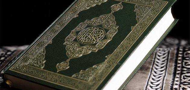 الإنسان في القرآن الكريم