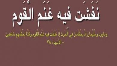 معنى آية إذ نفشت فيه غنم القوم