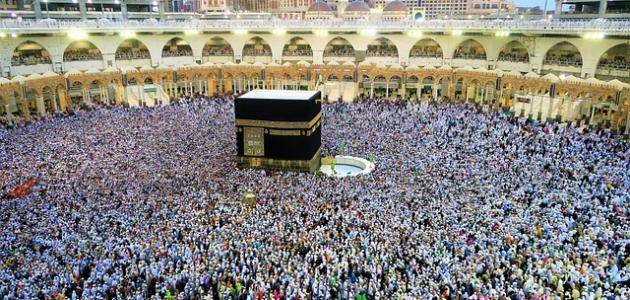 آيات عن الحج