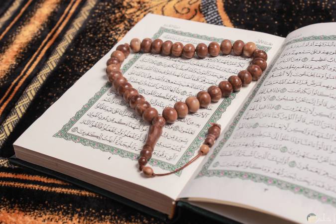 آيات عن الخير