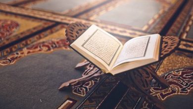 آيات عن القرآن