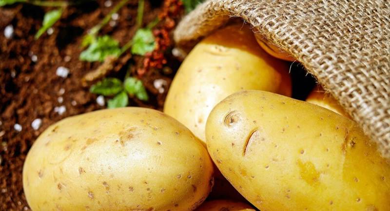 تفسير رؤية البطاطس المطبوخة في المنام