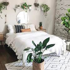 النباتات في غرفة النوم موقع المعلومات