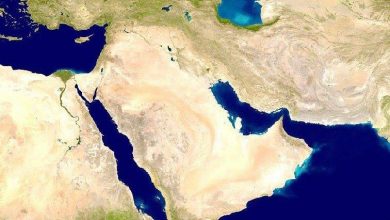 اسباب الضعف العلمي في شبه الجزيرة العربية