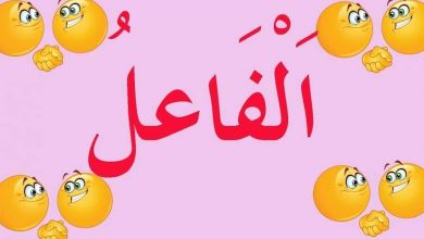 درس الفاعل في النحو العربي بالأمثلة عليه 780x470 1