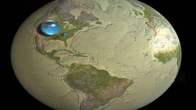 ماهي نسبة الماء في الكرة الأرضية