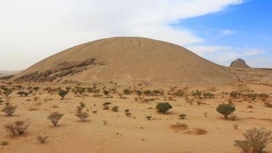 اكبر الهضاب في شبه الجزيرة العربية