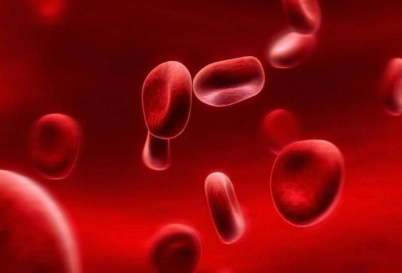 ماذا يعني فقر الدم