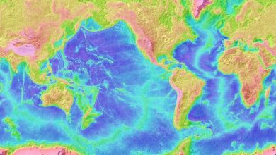 ما عدد المحيطات في العالم