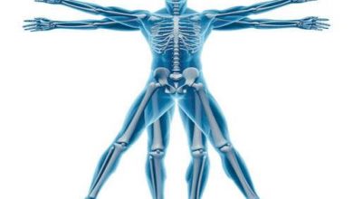 الاضطرابات العضلية الهيكلية