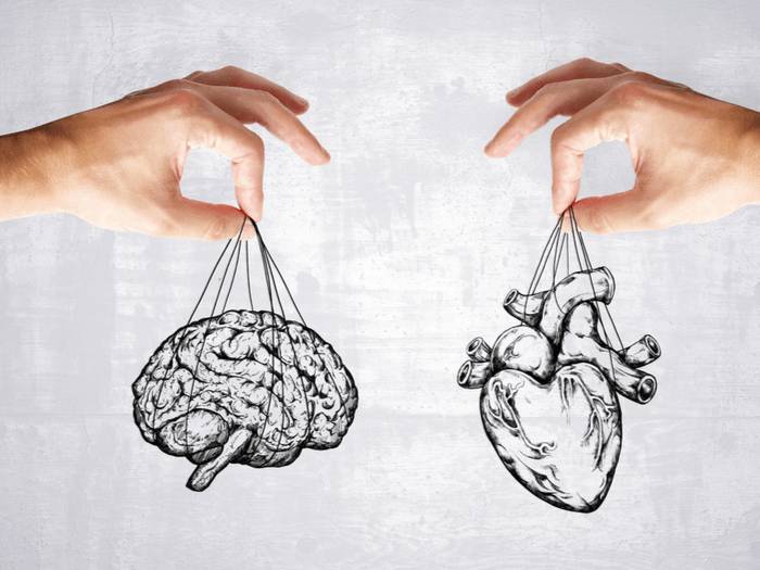 القلب مقابل العقل