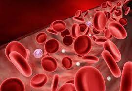 فقر الدم اللاتنسجي2