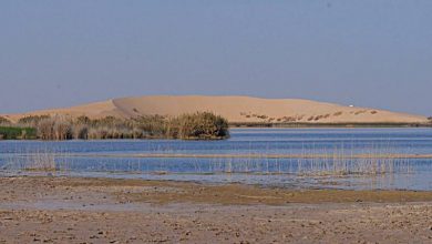 بحيرة الأصفر