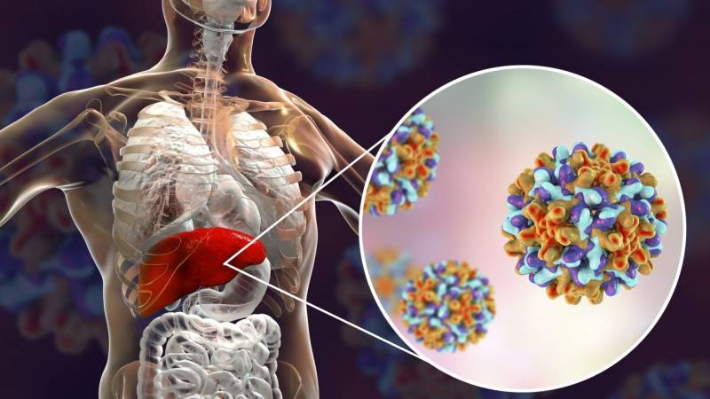 طرق انتقال فيروس الكبد الوبائي