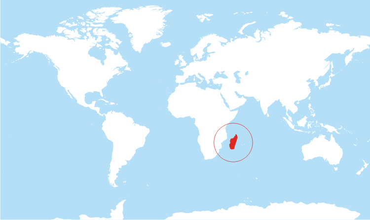 جزيرة مدغشقر