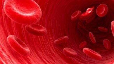 ما هي وظائف الدم