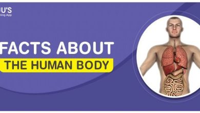 Facts About Human Body