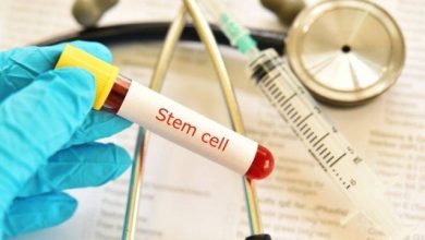 Stem Cell IVF Treatment