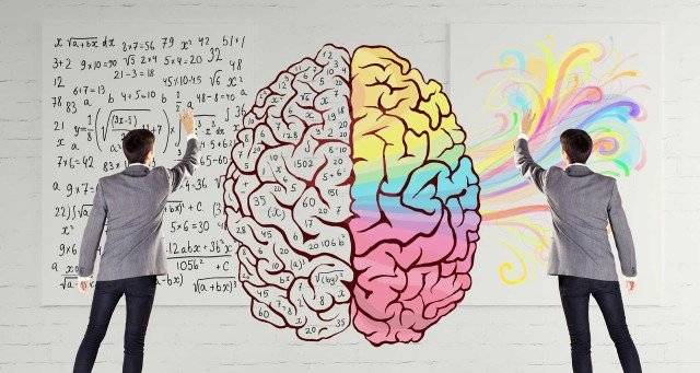 بين نصفي الدماغ الأيمن والأيسر من حيث طريقة التفكير2