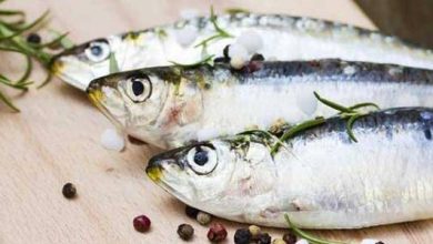 القيمة الغذائية لسمك السردين